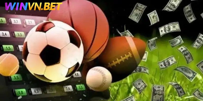 3 hình thức cá cược thể thao xanh chín