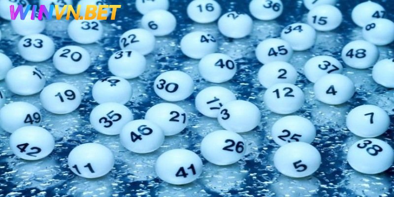 Đôi nét về lô bệt là gì